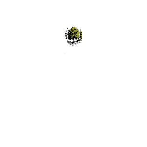 - The Placemakers Academy