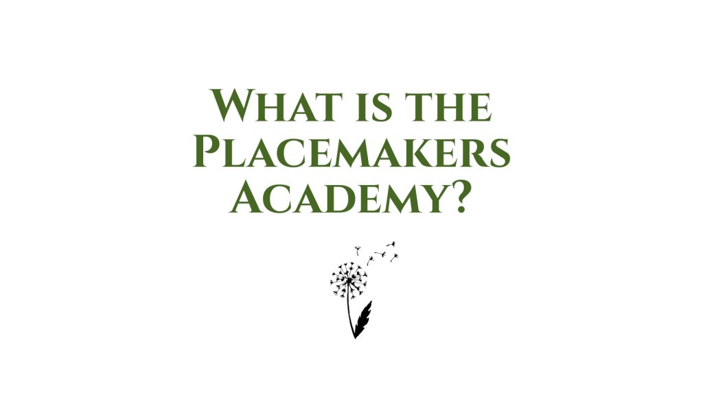What is the Placemakers Academy?