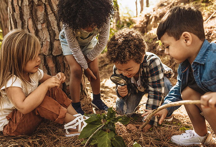 A group of kids curiously investigates a shrub with a magnifying glass as they observe the forest.